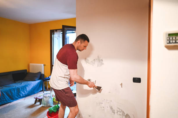 Home Mold Removal in Harlan, IA